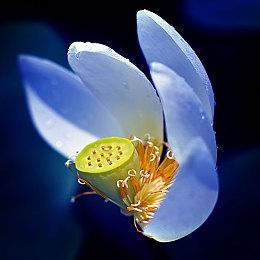 《博德之门3》新预告片 正式版将于2023年推出